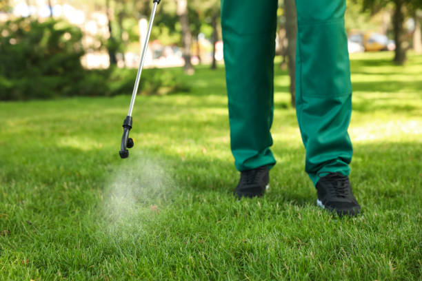 Best Flea Control Services  in Oolitic, IN